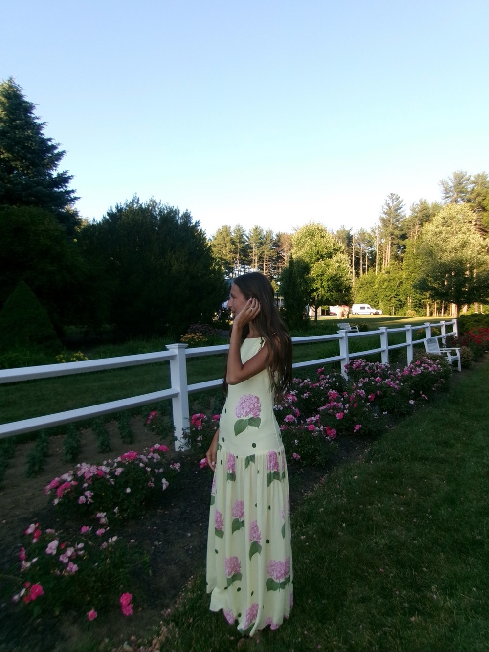 Palm Noosa Hydrangea Dress